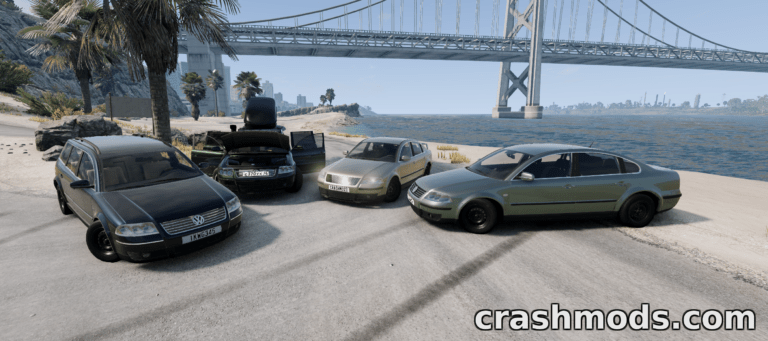 Four Volkswagen Passat B5 1996 models are parked on a beachside road, showcasing different colors and modifications.