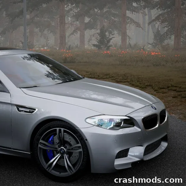 BMW F10 M5 + Competition 2011–2016 RemMap BemMNG – screenshot 2