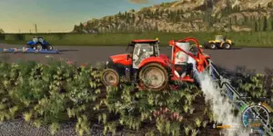In order to remove weeds at the first stage of growth, an ordinary digger or special broom will be enough.