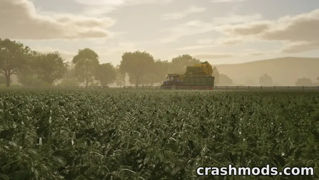 Green bean field in FS25