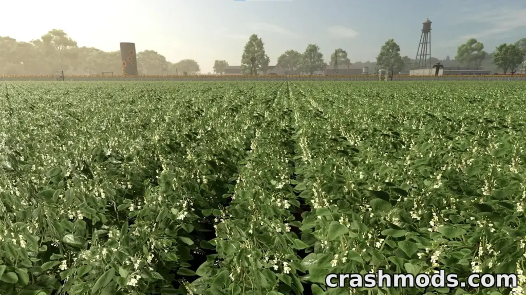 Green beans crop in Farming Simulator 25