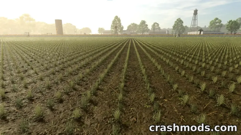 OXB BP 240i working a bean field