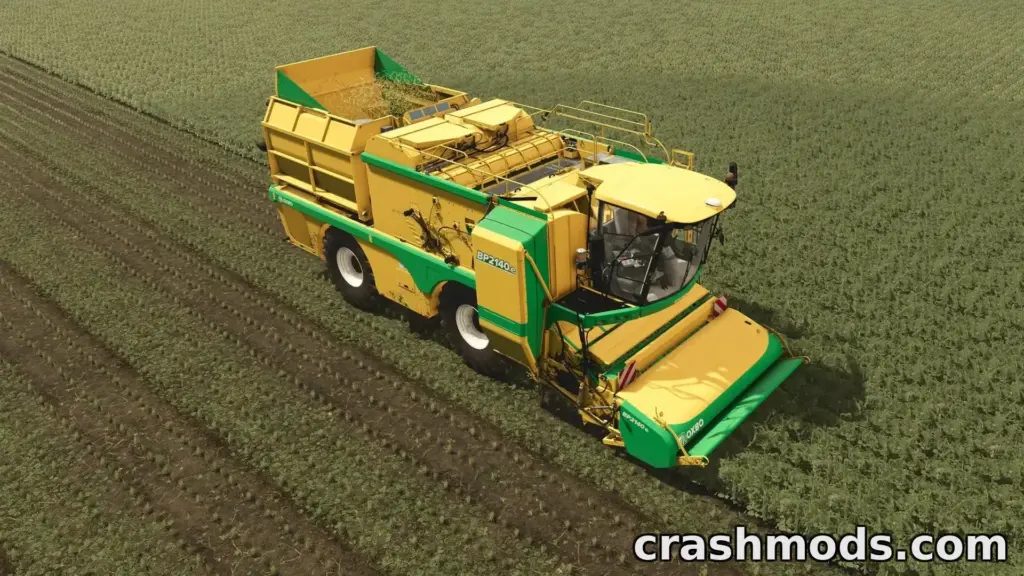 Green bean field detail in FS25