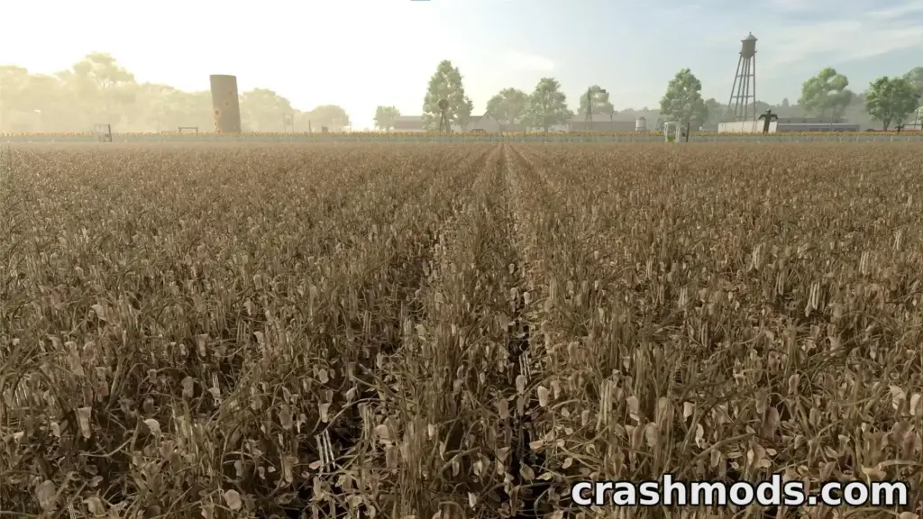 Green bean harvest in Farming Simulator 25