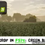 Green Beans in FS25: Expensive Seed, and the Best Return per Hectare Yet