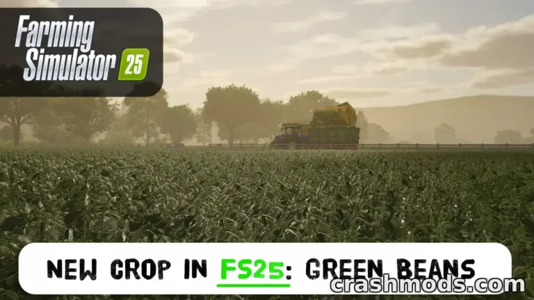 Green Beans in FS25: Expensive Seed, and the Best Return per Hectare Yet