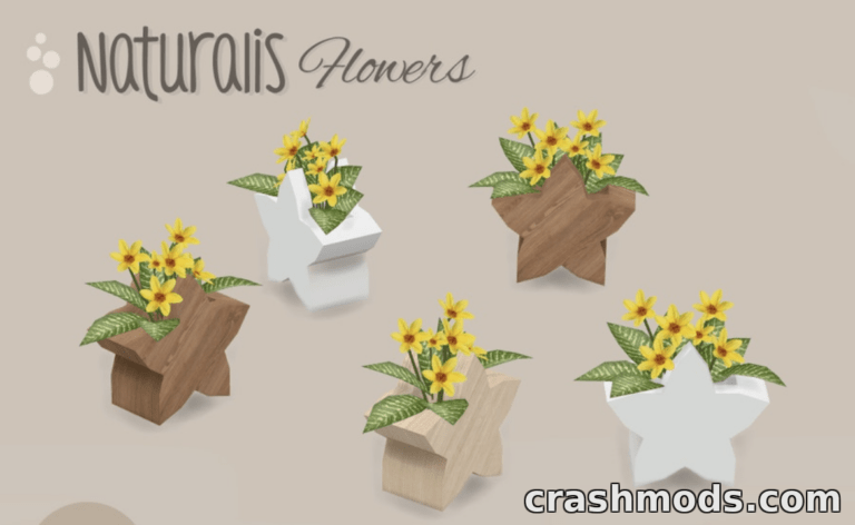 Colorful flower arrangements in star-shaped pots, showcasing the "Naturalis Flowers- 10 star" mod for The Sims 4.