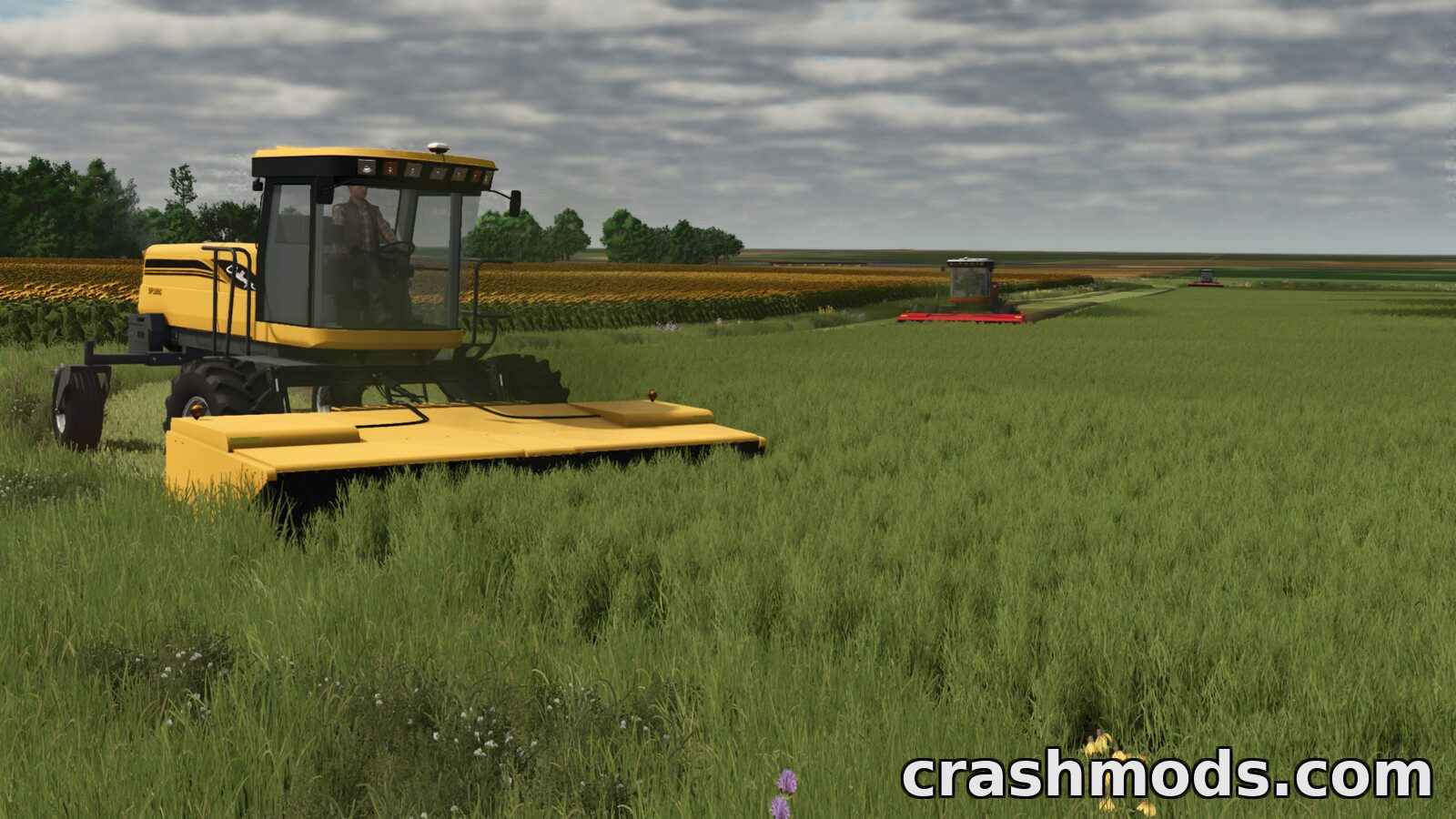AGCO Swather Pack – Windrower Headers and Transport – screenshot 3