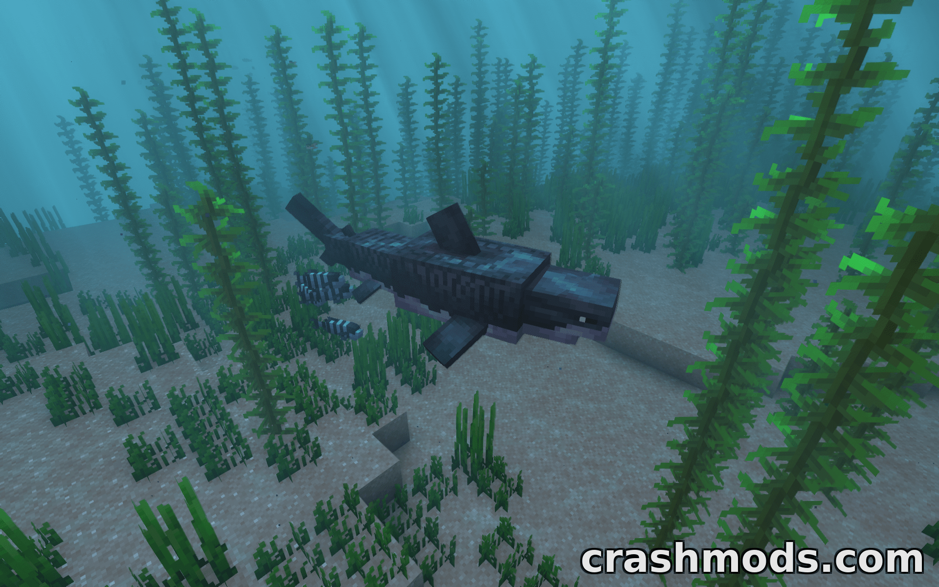 Ben’s Sharks – 26 New Ocean Mobs with Unique Items – screenshot 3