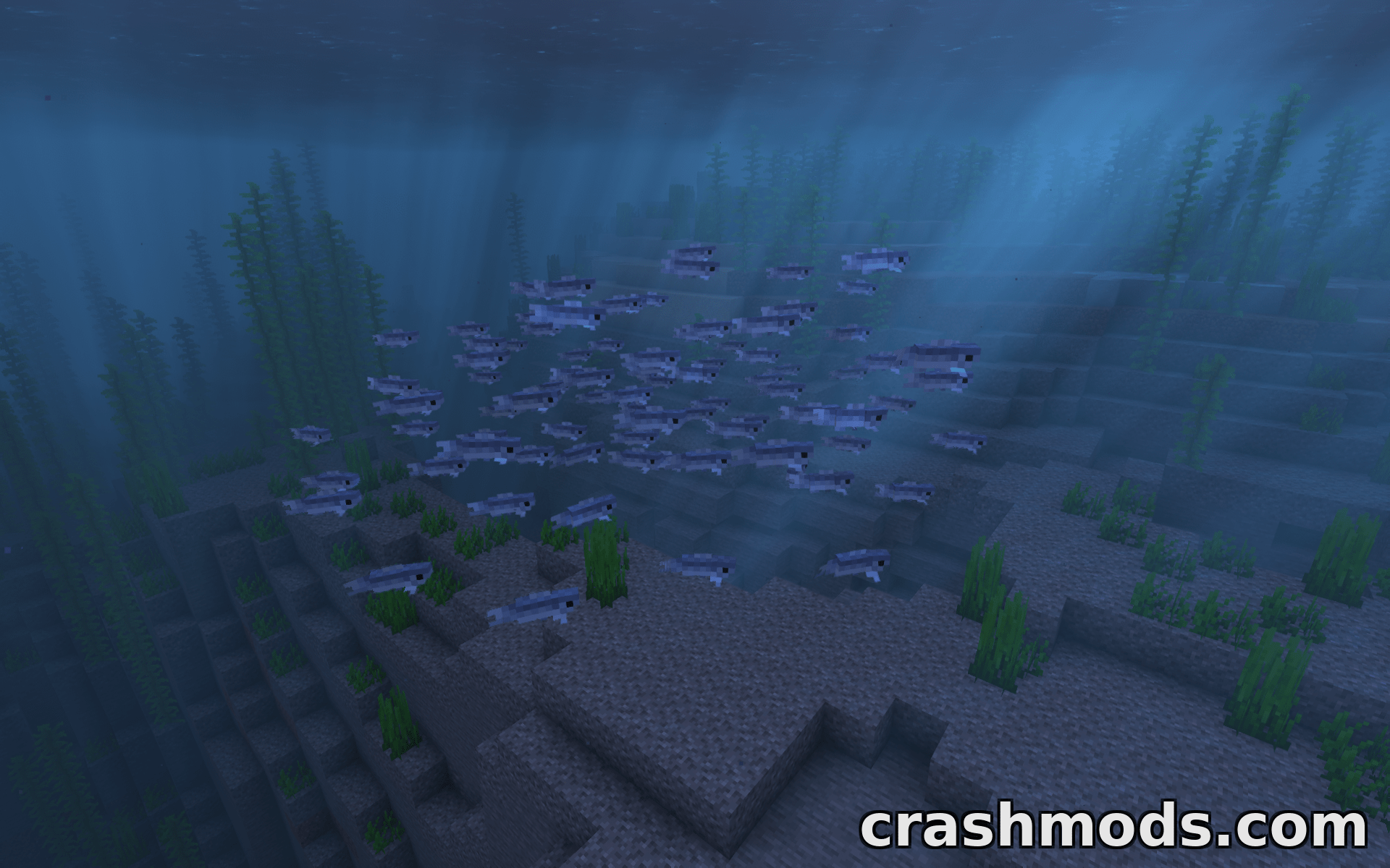 Ben’s Sharks – 26 New Ocean Mobs with Unique Items – screenshot 6