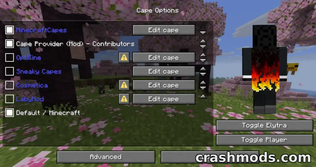 Cape Provider – Custom Capes from Multiple Providers Minecraft mod screenshot