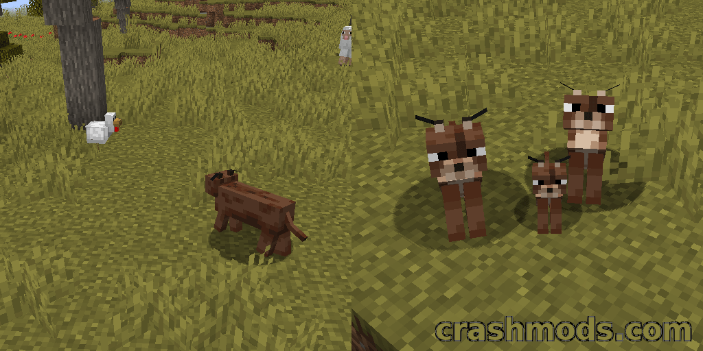 Caracal Mob – Tameable Savanna Cats That Hunt Chickens and Rabbits – screenshot 3