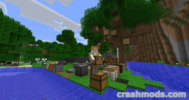Carry On – Pick Up and Move Blocks and Mobs by Hand Minecraft mod screenshot