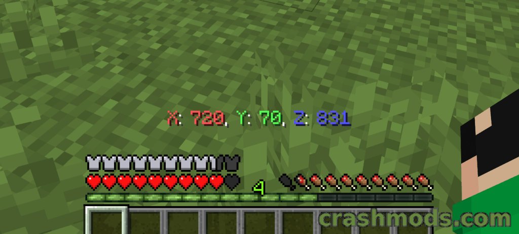 Coords – Exact Location Display You Can Toggle In Game Minecraft mod screenshot