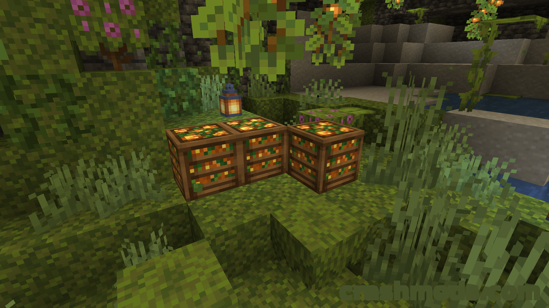 Crate Delight – Storage Crates and Bags for Food, Seeds and Materials – screenshot 5