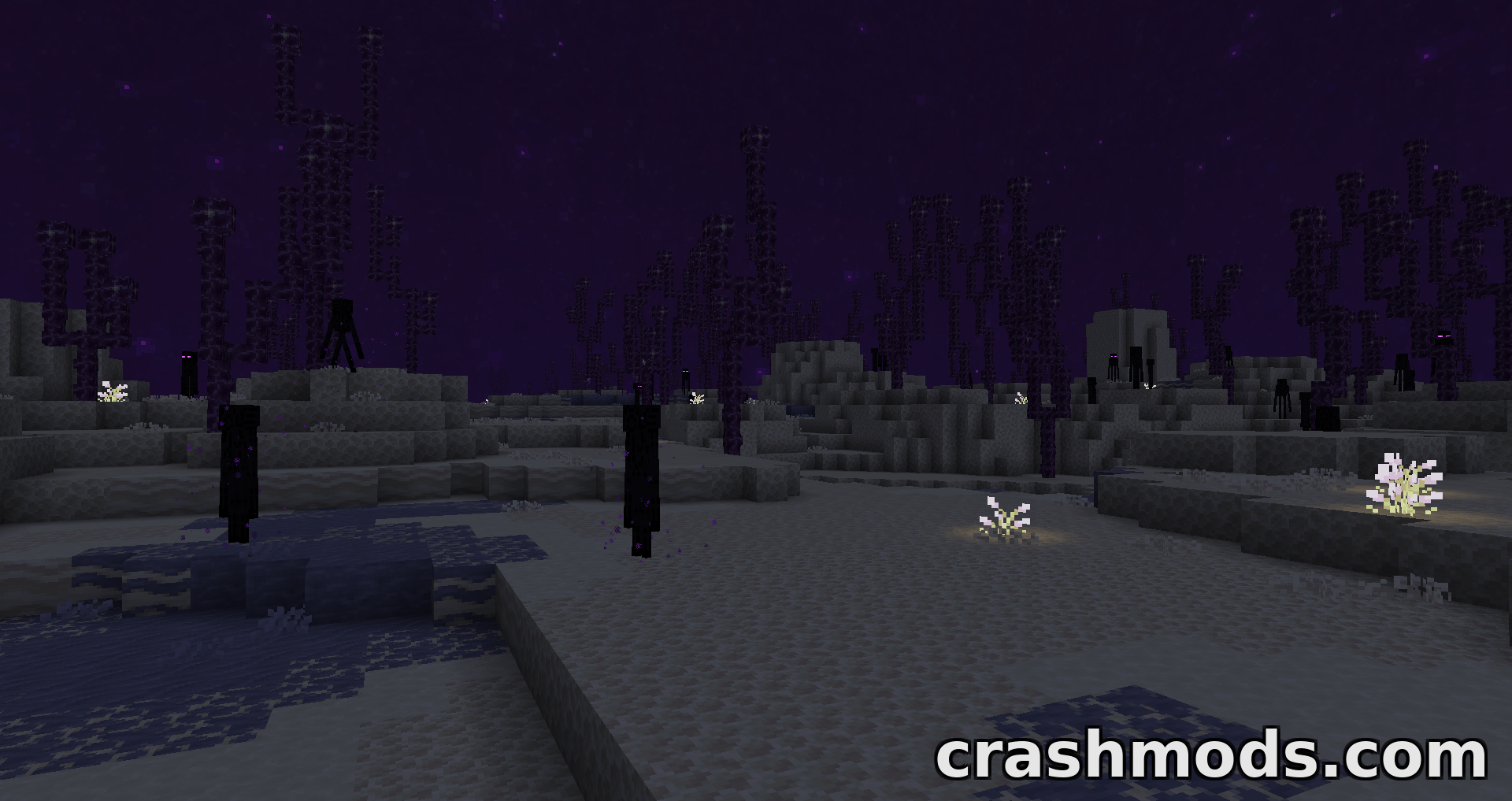 Echovoids – End Dimension Overhaul with New Biomes and Structures – screenshot 3