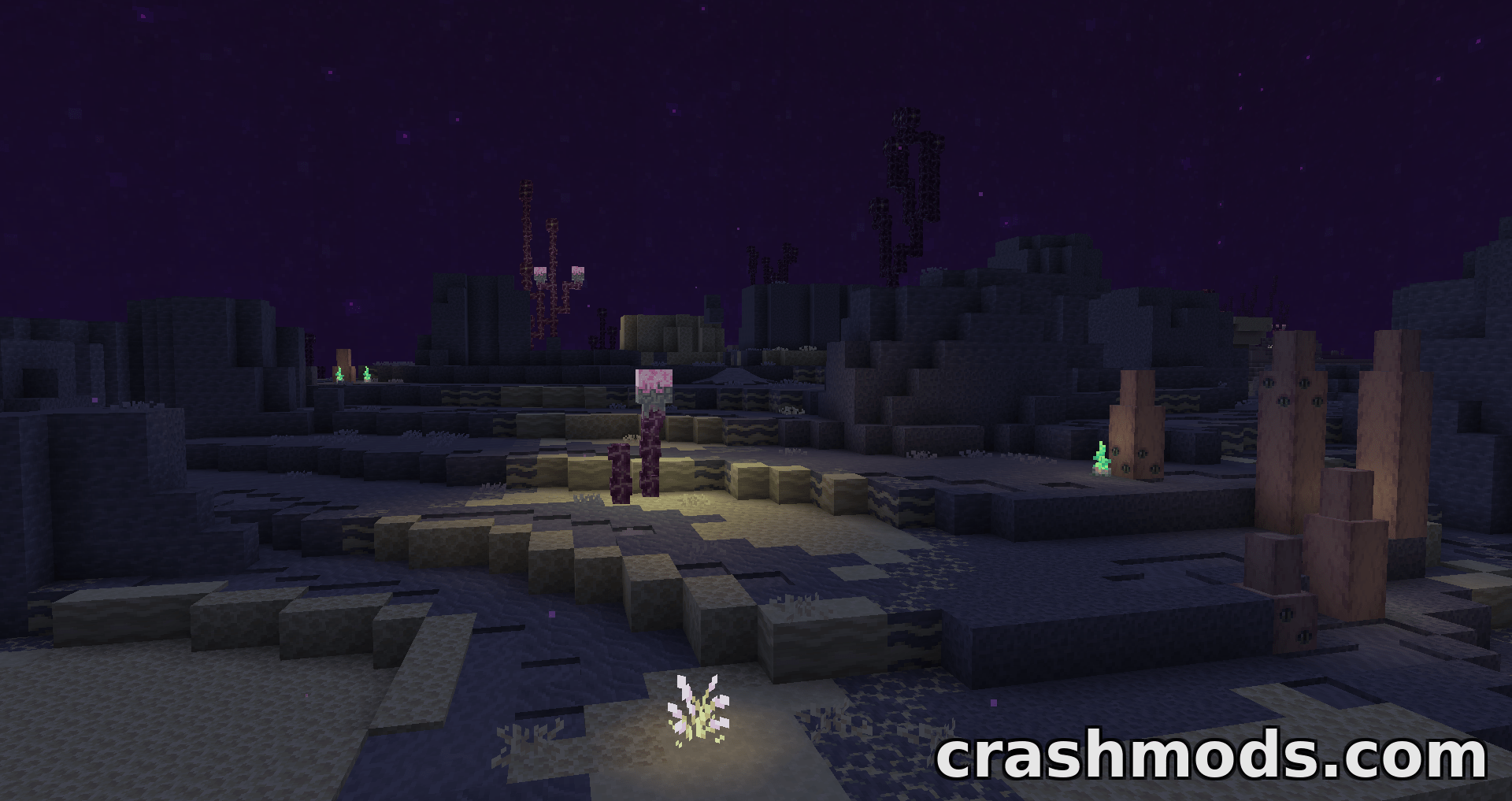 Echovoids – End Dimension Overhaul with New Biomes and Structures – screenshot 4