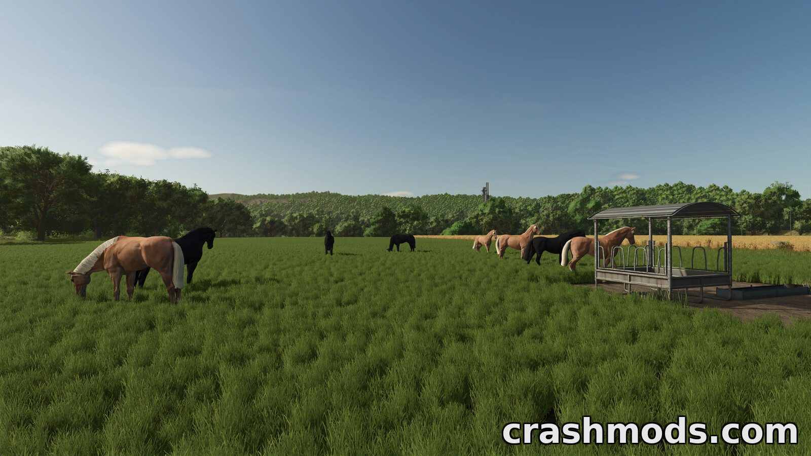 Fenceless Pastures – Base-Game Animal Pens Without Fences – screenshot 4