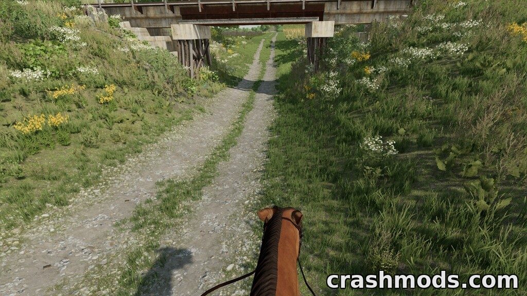First Person Horse Riding Camera – Ride in First Person – screenshot 5