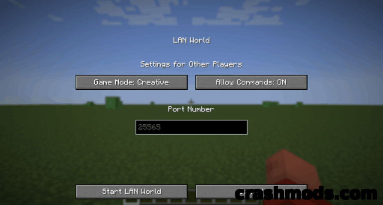 Force Port – Fixed LAN Port for Open To LAN Worlds Minecraft mod screenshot