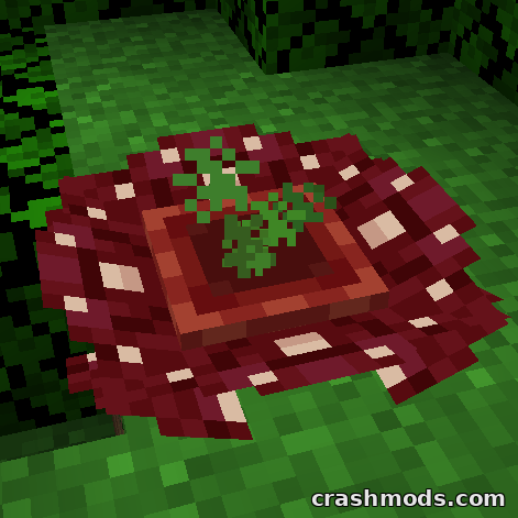 Habitat – Overworld Biome Expansion with Songbirds and Pookas Minecraft mod screenshot