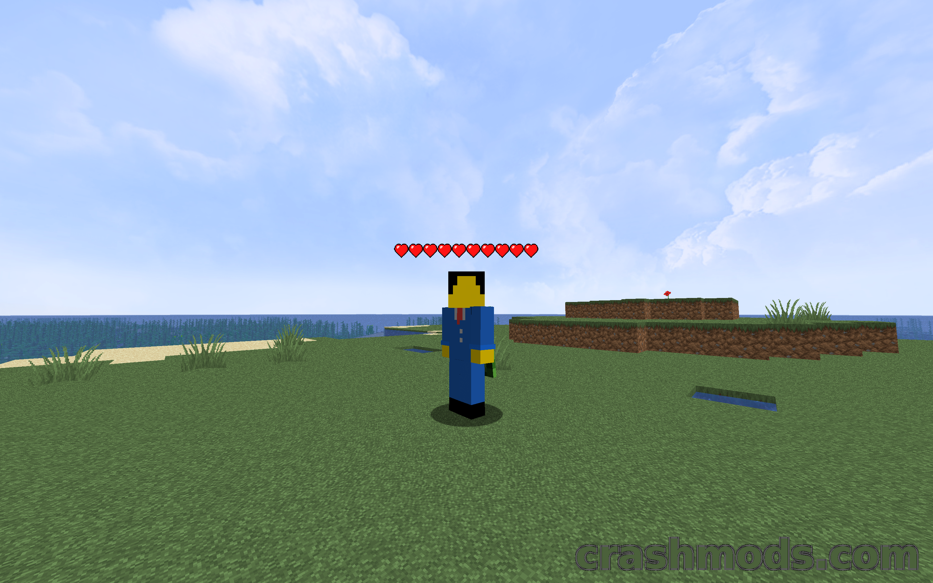 Health Indicators – Floating Health Bars Above Players and Mobs – screenshot 2
