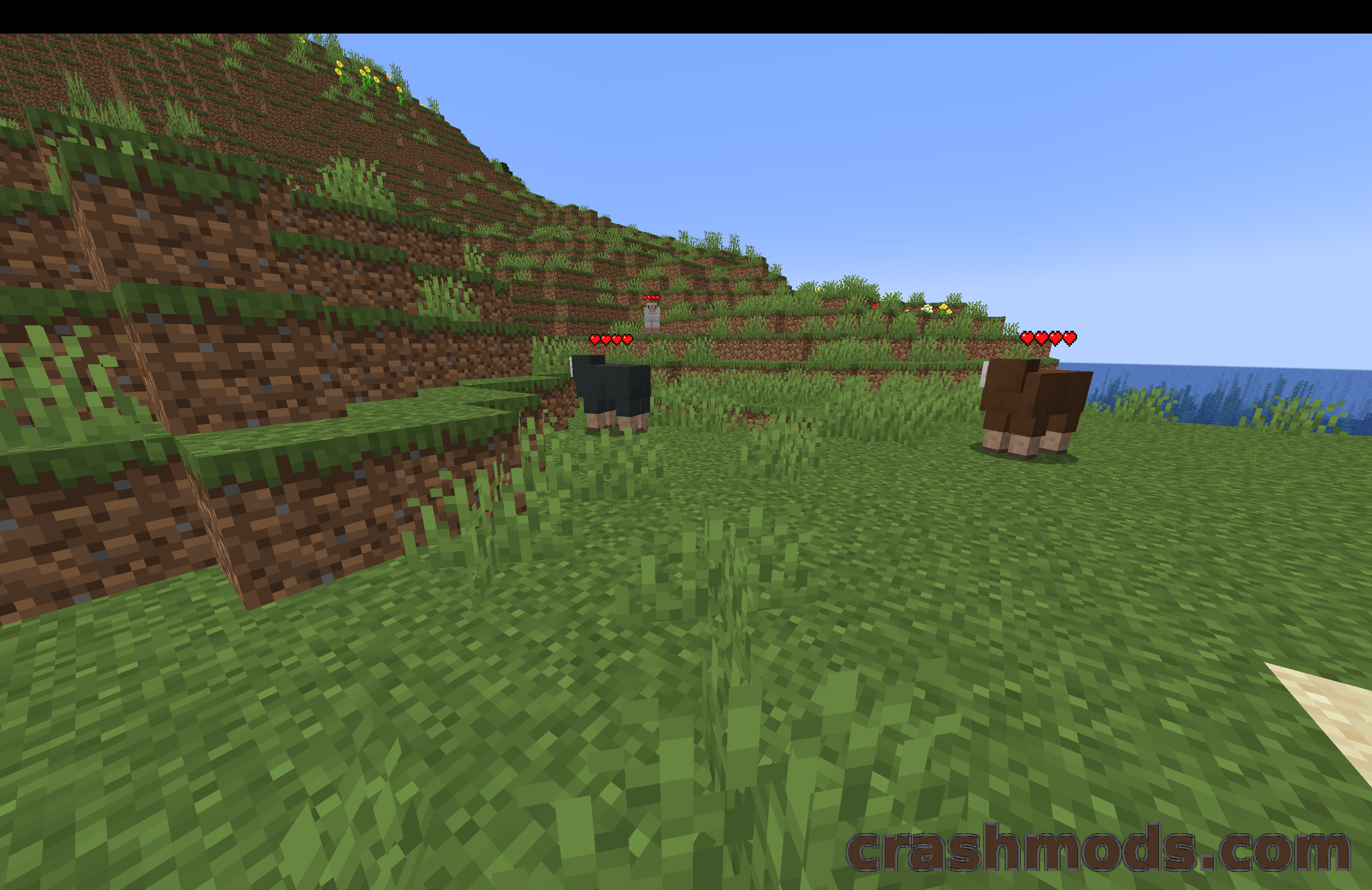 Health Indicators – Floating Health Bars Above Players and Mobs – screenshot 4