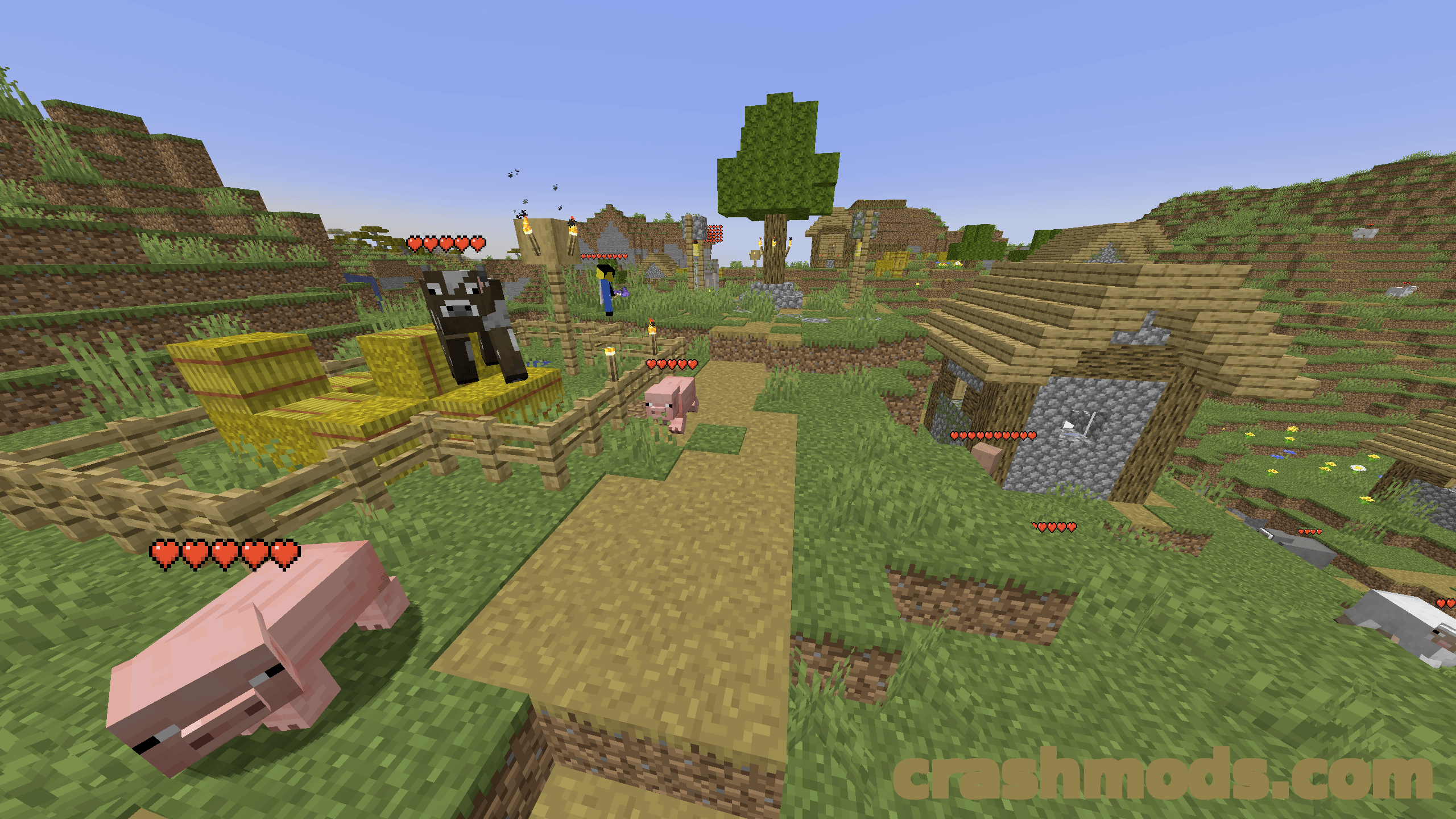 Health Indicators – Floating Health Bars Above Players and Mobs – screenshot 5