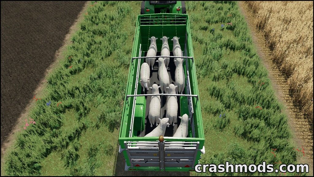 Joskin Betimax RDS 6000 – Livestock Trailer – screenshot 4