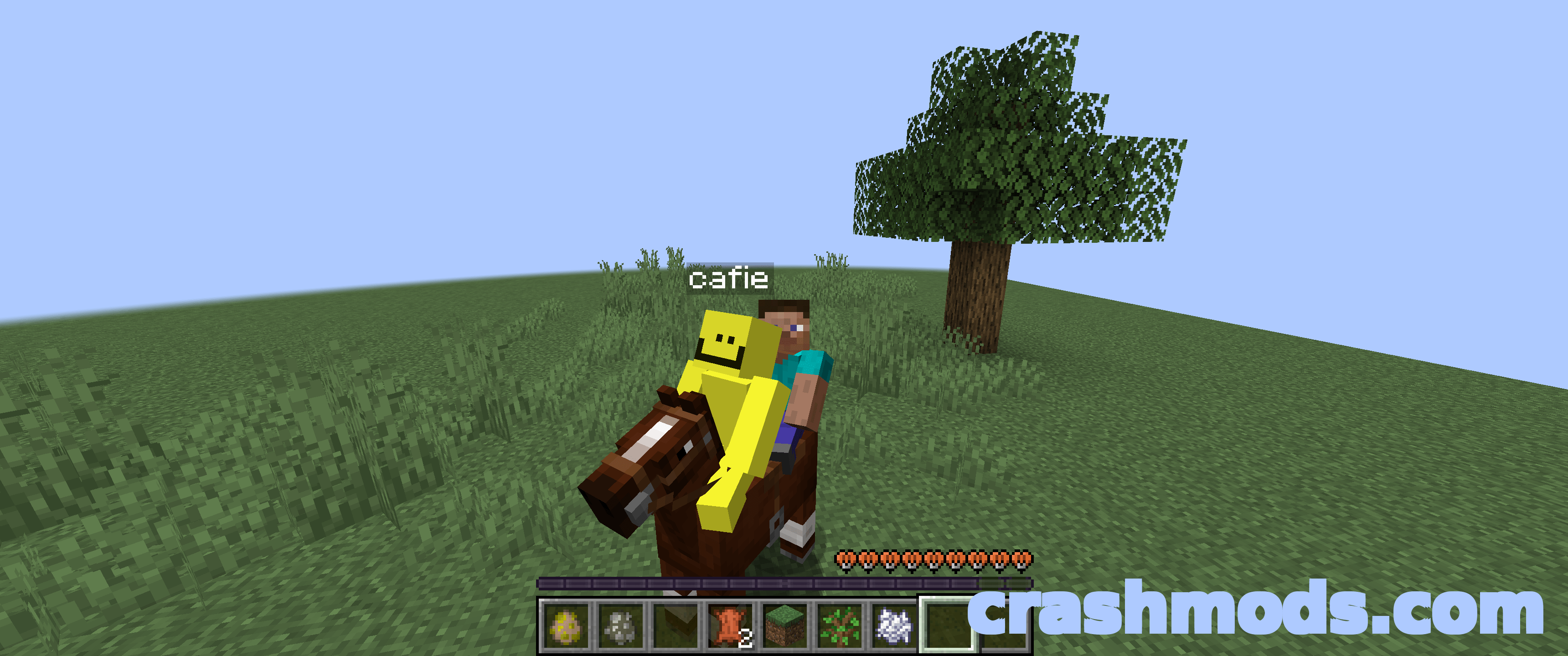 Kaffee’s Dual Ride – Two Players on One Horse – screenshot 2