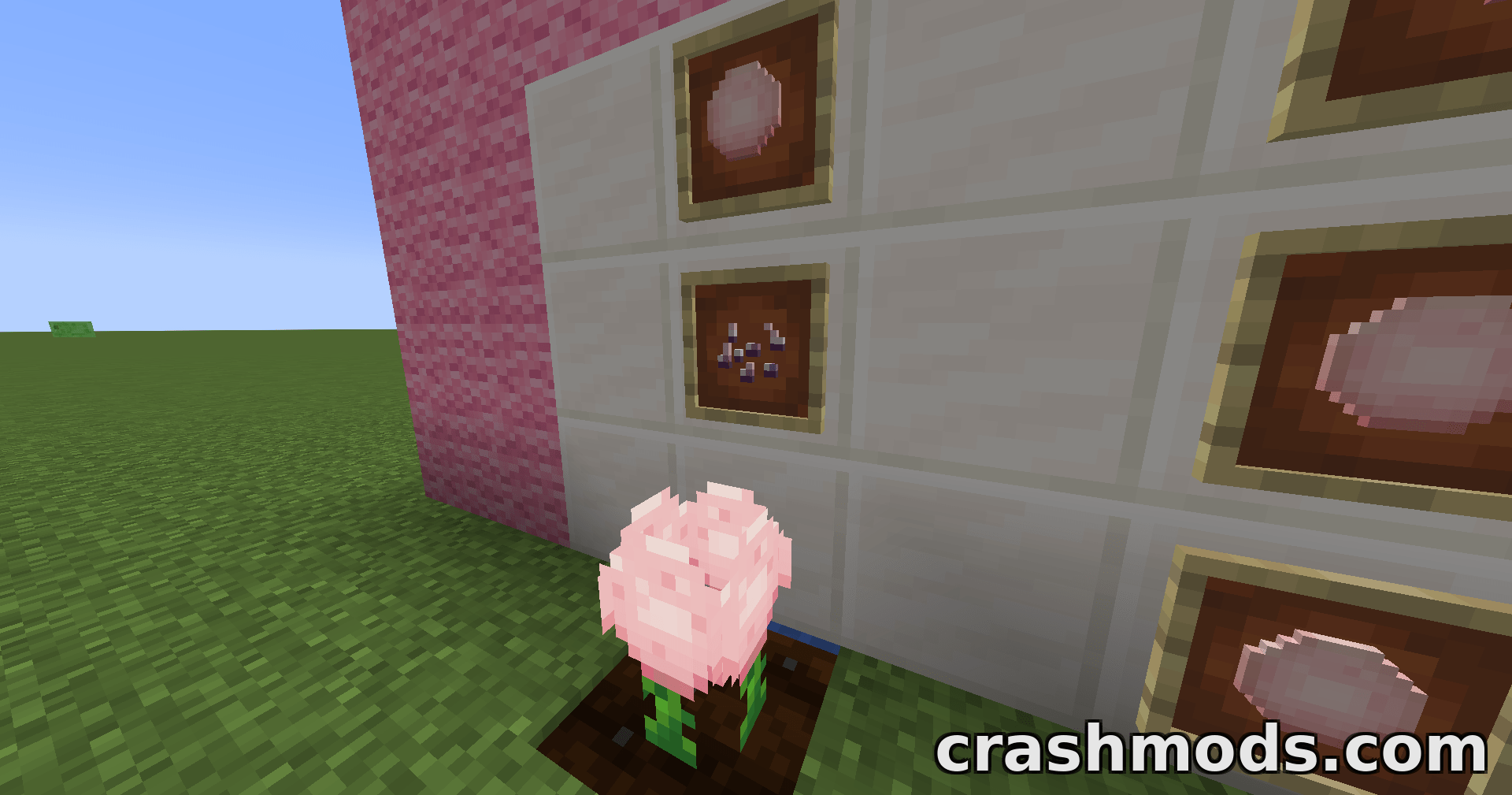 Kaf’s Valentine Special – Flavoured Cookies, Cotton Candy and Themed Treats – screenshot 5
