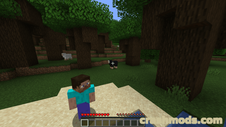 Leawind’s Third Person – Smooth Third Person Camera Minecraft mod screenshot