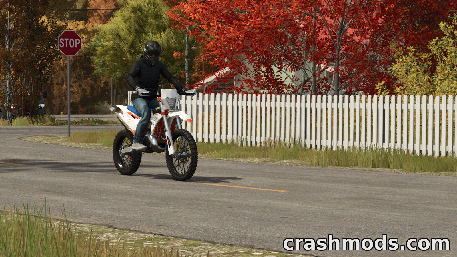 Lizard 350 EXCF – 88 hp Enduro Motorcycle – screenshot 2