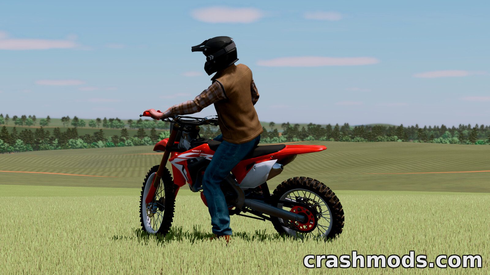 Lizard CRF 450R – Hydraulic Clutch Off-Road Bike – screenshot 2