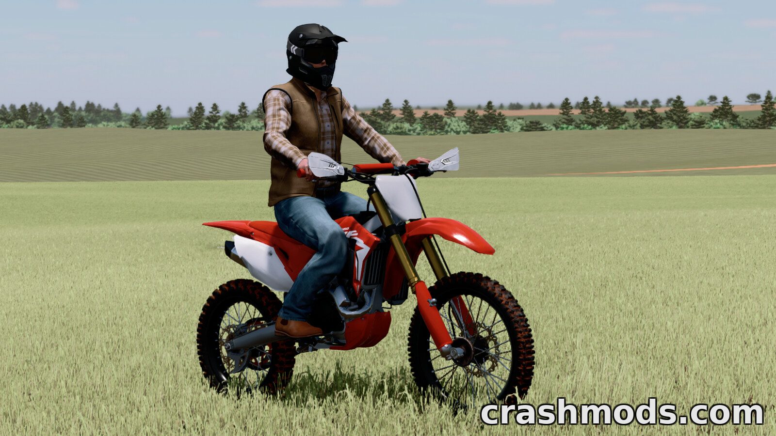 Lizard CRF 450R – Hydraulic Clutch Off-Road Bike – screenshot 3