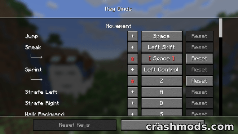 Multi Key Bindings – Several Keys and Modifiers for the Same Action Minecraft mod screenshot