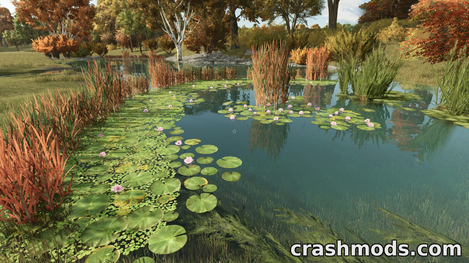 Natural Waterplants – Reeds Lilies and Watergrass – screenshot 2