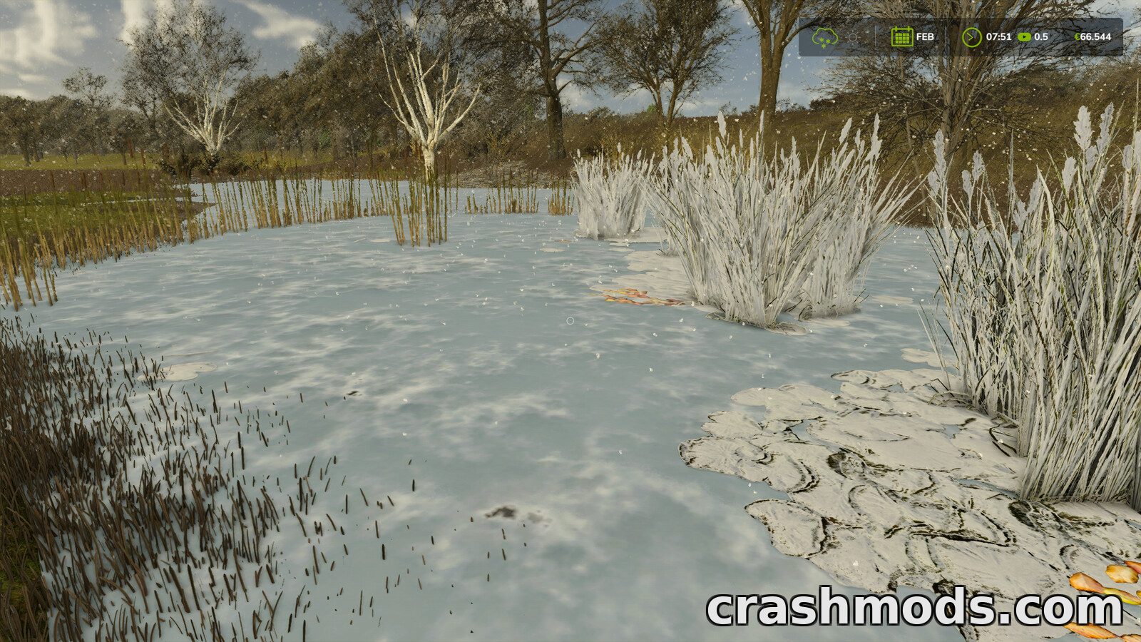 Natural Waterplants – Reeds Lilies and Watergrass – screenshot 3