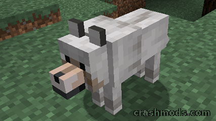 Not Enough Pets – More Cat, Dog and Parrot Varieties with Tameable Ocelots – screenshot 4