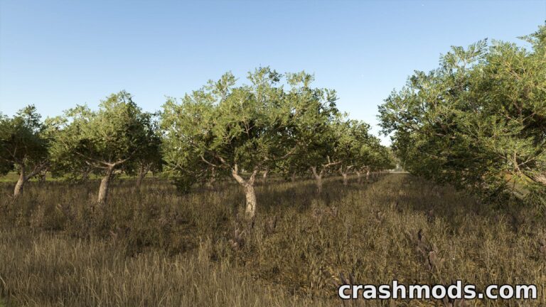 Olives + Olive Picker – Andalusian Olive Trees and Harvester Farming Simulator 25 mod screenshot