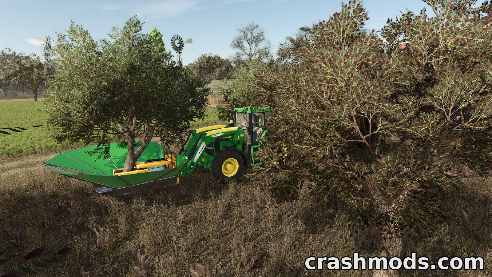 Olives + Olive Picker – Andalusian Olive Trees and Harvester – screenshot 4