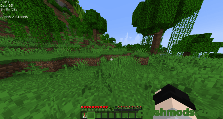Sodium Extra Information – Extra In-Game Readouts for Sodium Extra Minecraft mod screenshot