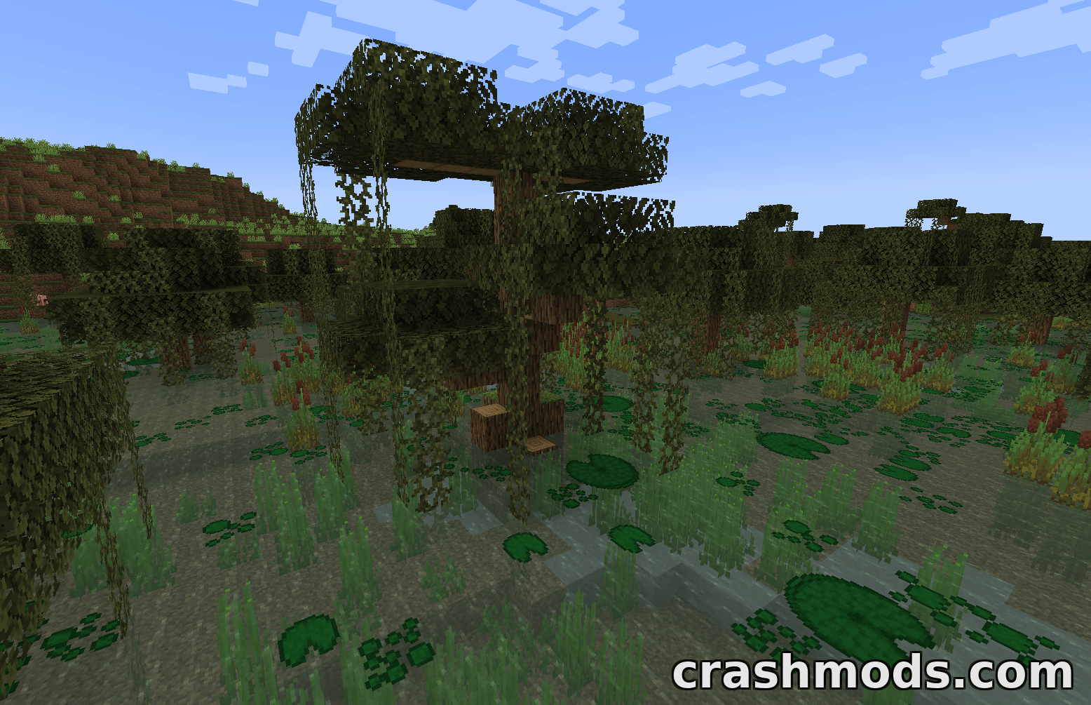 Swampier Swamps – Swamp Overhaul with Frog Variants and Dragonflies – screenshot 4