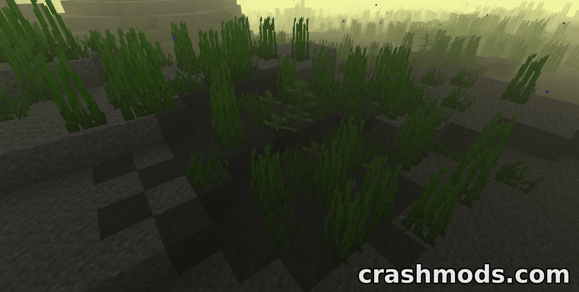 Swampier Swamps – Swamp Overhaul with Frog Variants and Dragonflies – screenshot 5