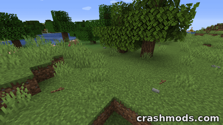 This Rocks! – Rocks, Sticks, Seashells and Geysers for Natural Terrain Minecraft mod screenshot