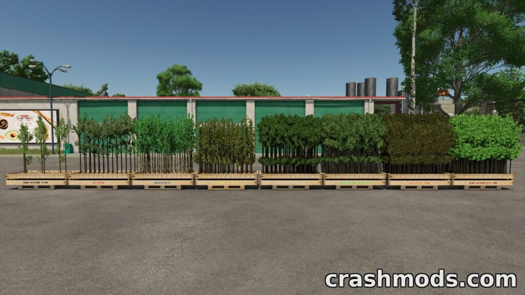 Tree Sapling Pack – Pallets from 6 to 300 Saplings Farming Simulator 25 mod screenshot