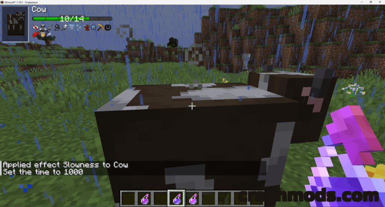TslatEntityStatus – Entity Health Bars and Damage Indicators Minecraft mod screenshot