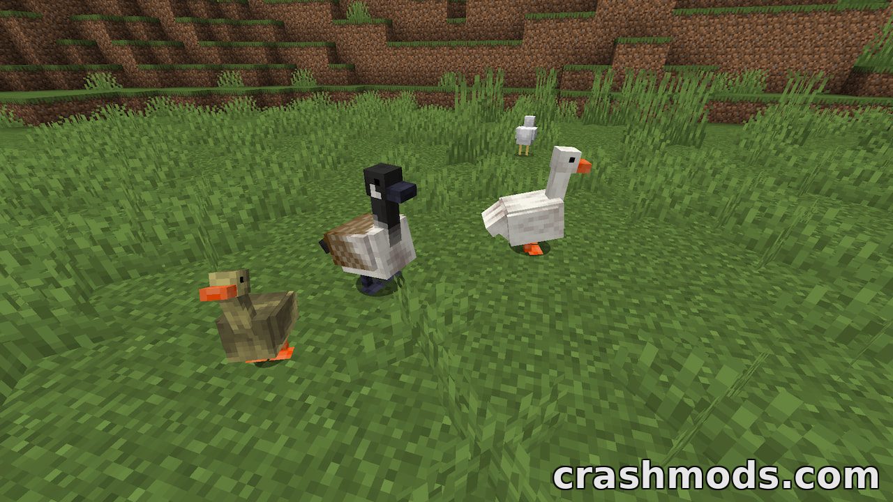Untitled Duck Mod – Tameable Ducks and Geese for Rivers and Swamps – screenshot 2