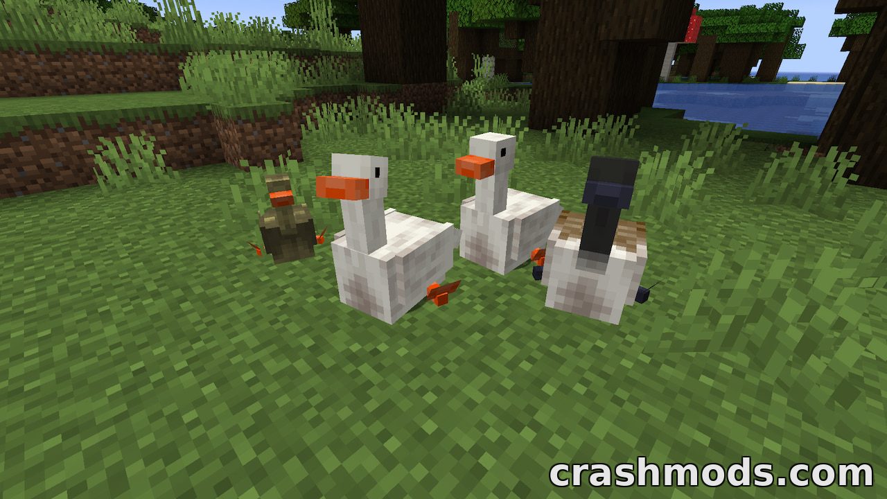 Untitled Duck Mod – Tameable Ducks and Geese for Rivers and Swamps – screenshot 3