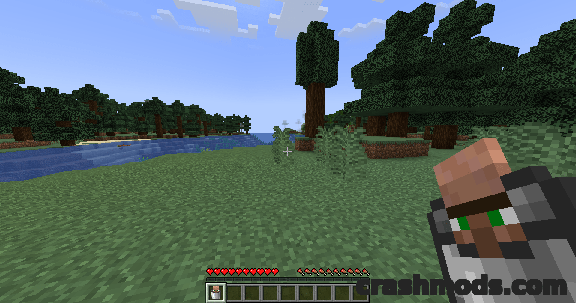 Villager In A Bucket – Catch and Carry Villagers with an Empty Bucket – screenshot 2